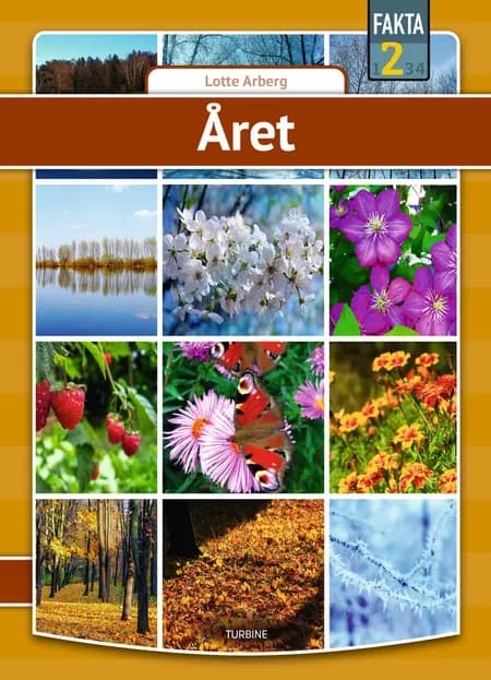 Året af Lotte Arberg