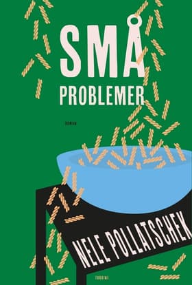 Små problemer af Nele Pollatschek