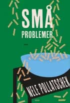 Små problemer