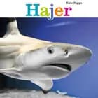 Hajer