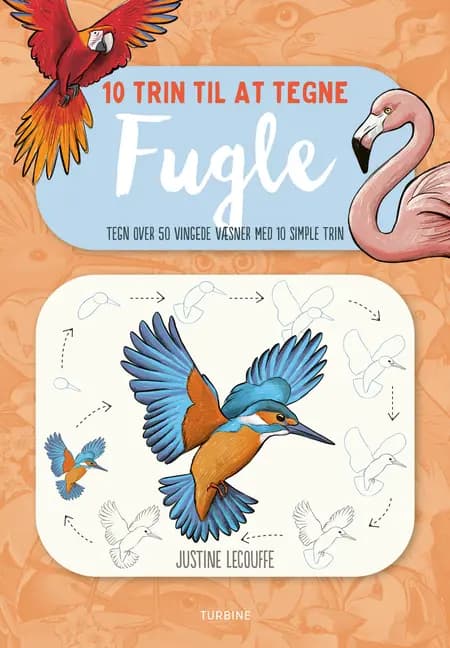 10 trin til at tegne fugle af Justine Lecouffe