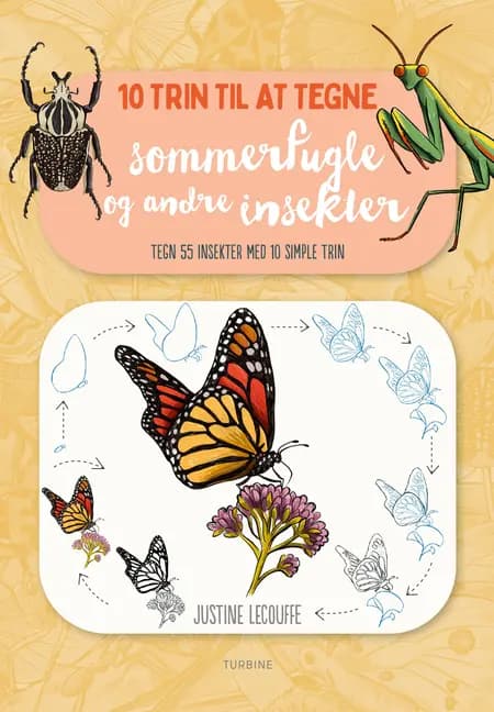 10 trin til at tegne sommerfugle og andre insekter af Justine Lecouffe