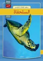 Skildpadder - arabisk