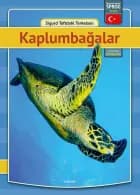 Skildpadder - tyrkisk