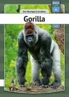 Gorilla - somali
