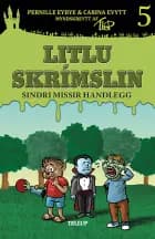 Litlu skrímslin #5: Sindri missir handlegg af Carina Evytt og Pernille Eybye