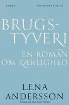 Brugstyveri - en roman om kærlighed af Lena Andersson