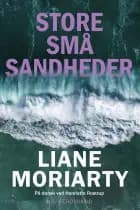 Store små sandheder