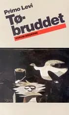 Tøbruddet