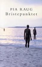 Bristepunktet