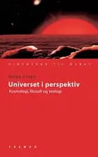 Universet i perspektiv