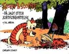 På jagt efter jordforbindelse af Bill Watterson