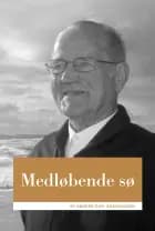 Medløbende sø af Anders Chr. Enevoldsen