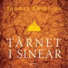 Tårnet i Sinear af Thomas Teglgaard