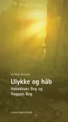 Ulykke og håb af Maiken Eriksen