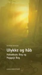 Ulykke og håb