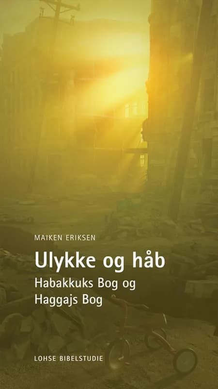 Ulykke og håb af Maiken Eriksen