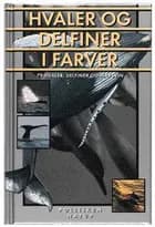 Hvaler og delfiner i farver af Mark Carwardine