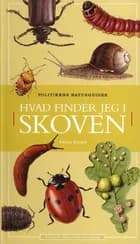 Hvad finder jeg i skoven af Nikolaj Scharff