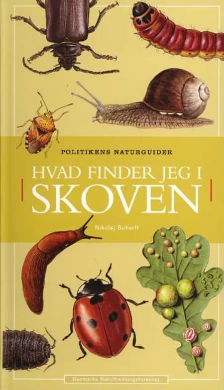 Hvad finder jeg i skoven af Nikolaj Scharff