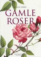 Gamle roser af Hugo Lykke