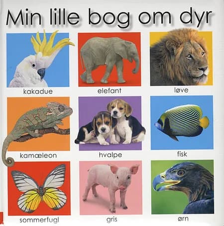 Min lille bog om dyr af Jo Rigg