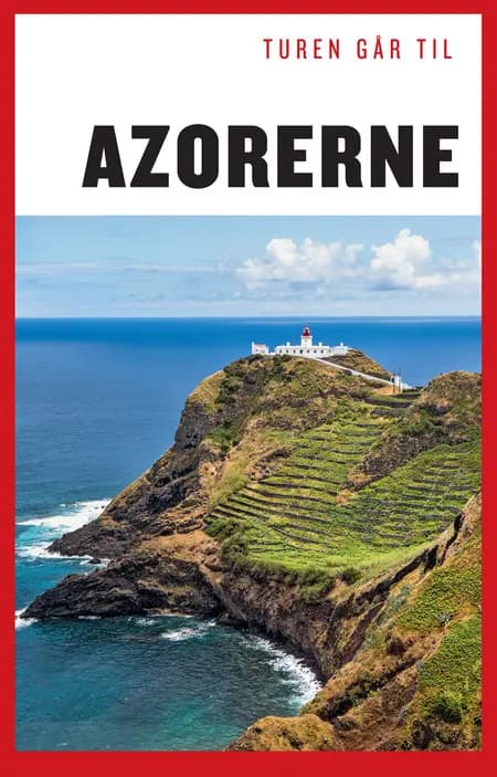 Turen går til Azorerne af Frank Sebastian Hansen
