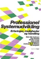 Professionel systemudvikling