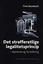 Det strafferetlige legalitetsprincip