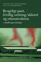 Brugeligt pant, frivillig ordning/akkord, rekonstruktion