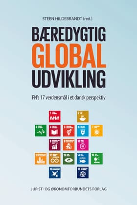 Bæredygtig global udvikling af Steen Hildebrandt