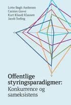 Offentlige styringsparadigmer