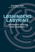 Løsningens labyrint