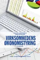 Virksomhedens økonomistyring