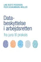 Databeskyttelse i arbejdsretten af Line Budtz Pedersen og Peer Schaumburg-Müller