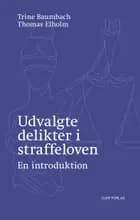 Udvalgte delikter i straffeloven
