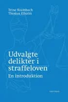 Udvalgte delikter i straffeloven