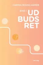 Udbudsret
