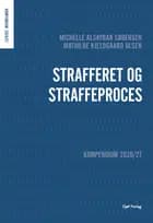Kompendium i strafferet og straffeproces af Michelle Alsaybar Sørensen og Mathilde Kjeldgaard Olsen