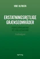 Erstatningsretlige grænseområder - Studieudgave af Vibe Ulfbeck