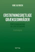 Erstatningsretlige grænseområder