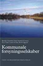 Kommunale forsyningsselskaber af Marlene Hannibal, Søren Stenderup Jensen og Peter Holm Larsen