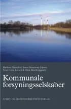 Kommunale forsyningsselskaber af Marlene Hannibal, Søren Stenderup Jensen, Peter Holm Larsen og Ellen Skodsborggaard