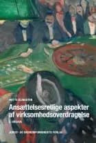 Ansættelsesretlige aspekter af virksomhedsoverdragelse af Mette Klingsten