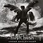 HUSH, HUSH #3: Under englevinger