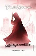 Oprørernes magi