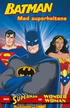 Batman: Mød superheltene