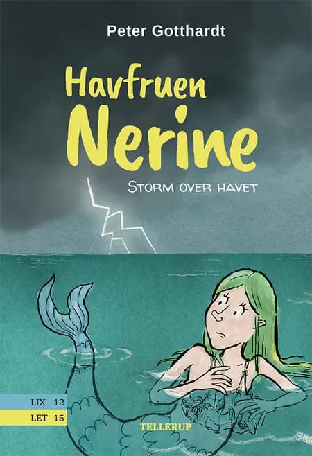 Storm over havet af Peter Gotthardt