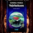 Magiens cirkel #2: Vejrheksen
