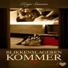 Det erotiske valg: Blikkenslageren kommer (forfører) af Kaya Sommer